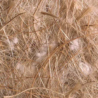 Matériaux de nidification