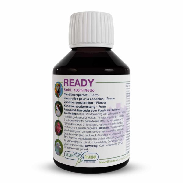 NeorniPharma - Ready (100ml)