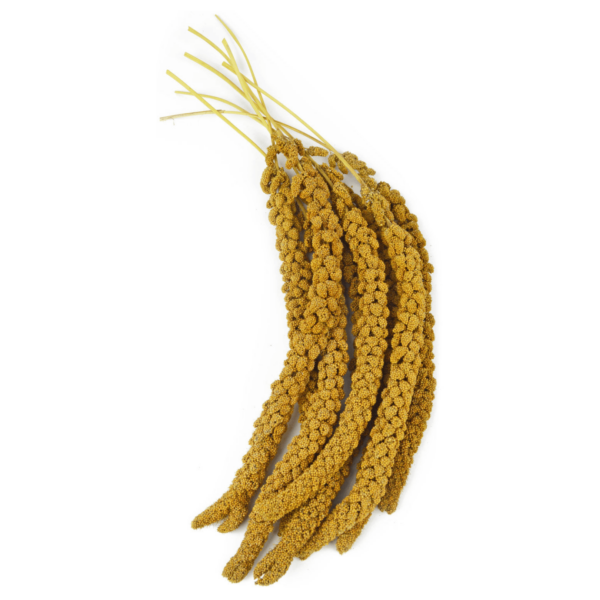 Grizo - Bouquets de millet de Chine (1 kg)