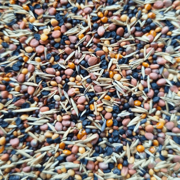 Deli Nature - 93 - Gezondheidszaad Suprème (zelfverpakt)