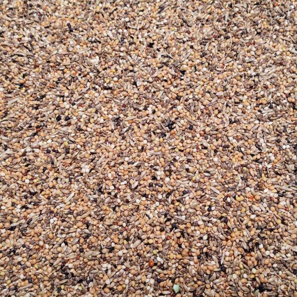 Bird Supreme - Gould Excellent (4kg - zelfverpakt)