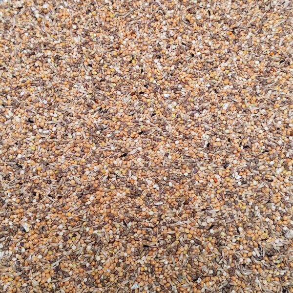 Bird Supreme - Zebravinken Excellent (4kg - zelfverpakt)