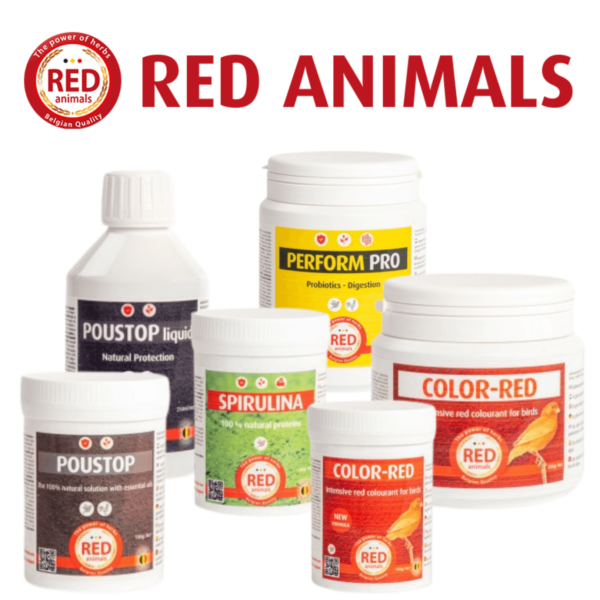 Red Animals