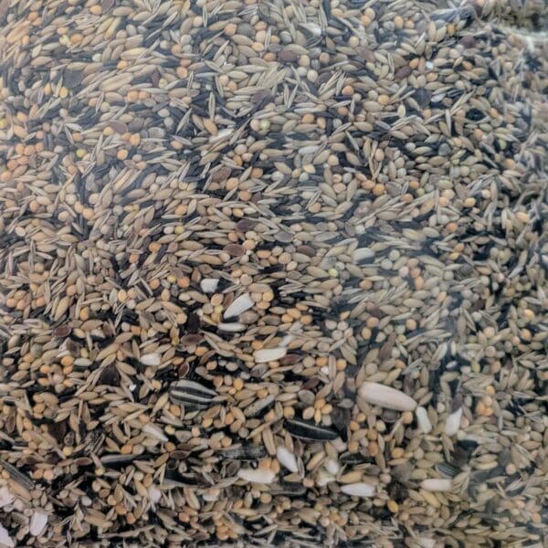 Avlo House Mix - Perruches et perroquets (20 kg)